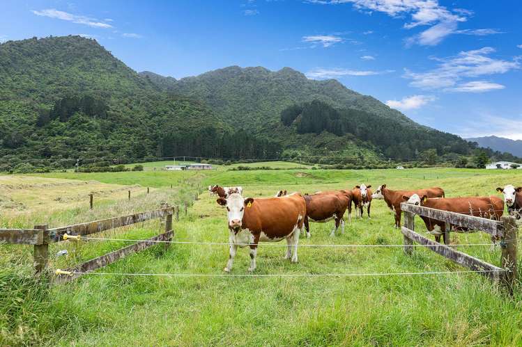 34 Te Aroha-gordon Road Te Aroha_20