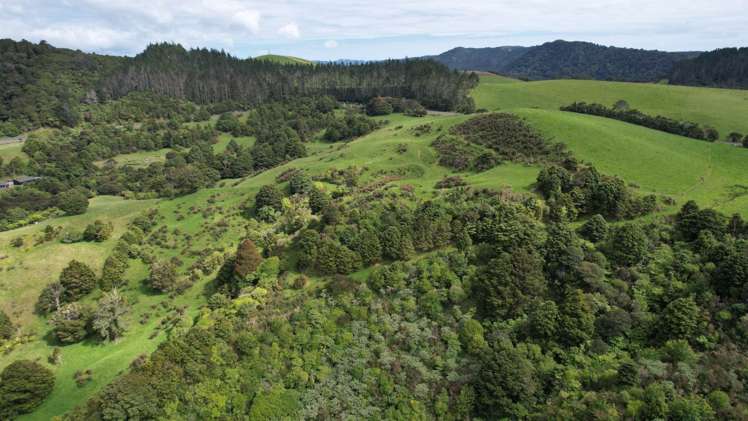 State Highway 10 Kaeo_6