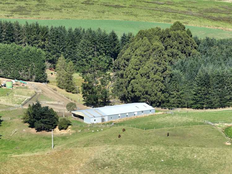 665-901 Tima Burn Road Teviot_5