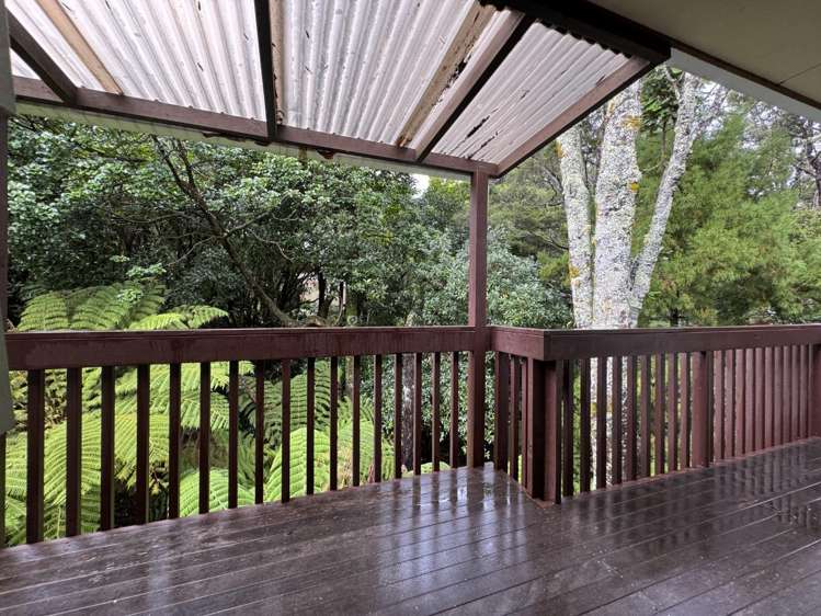 109 Wirihana Road Titirangi_29