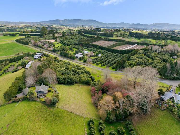 108A Plummer Road Whakamarama_17