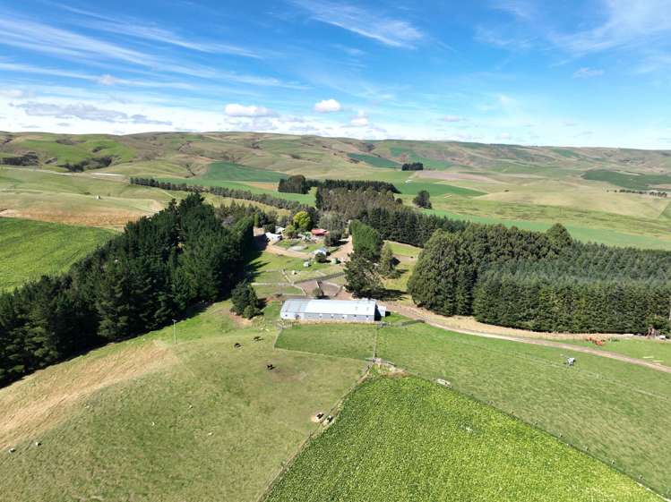 665-901 Tima Burn Road Teviot_6