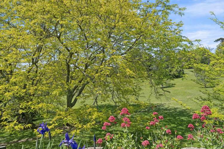 18 Ander Place Takapuna_25