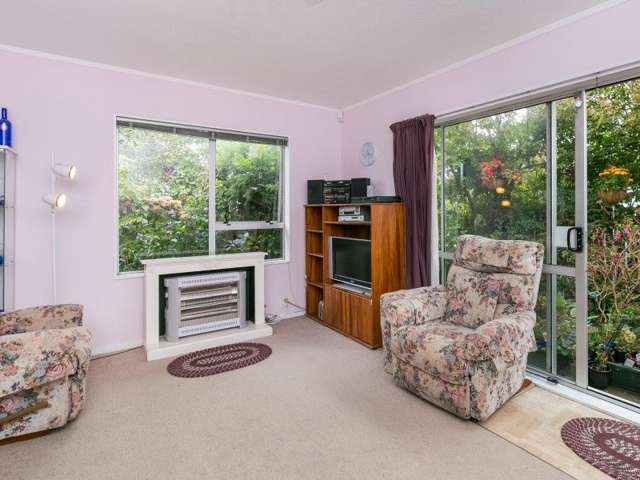 24a Plunket Avenue Petone_1