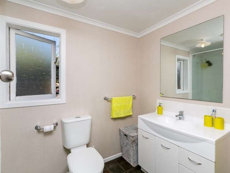 259b Huatoki Street Upper Vogeltown_20