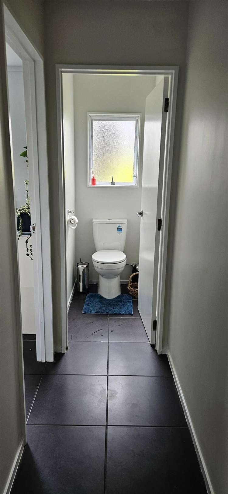 358 Gluepot Road Oropi_18