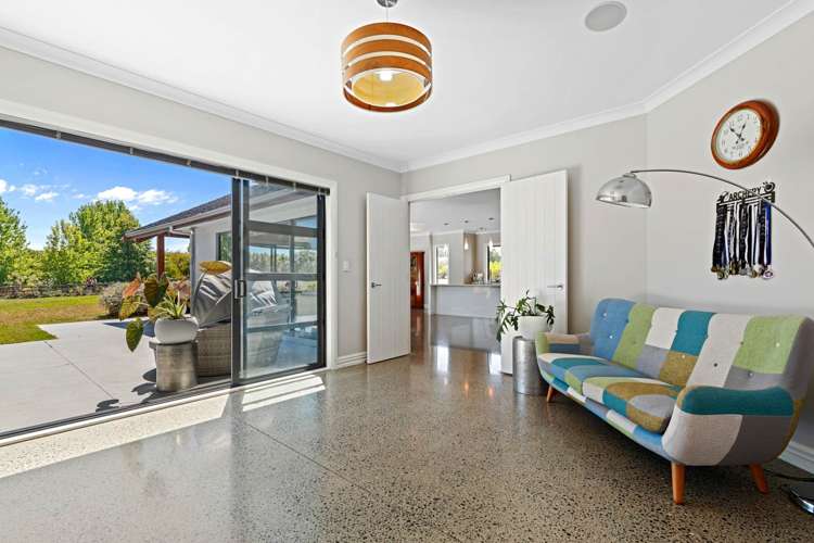 166J Postman Road Dairy Flat_9