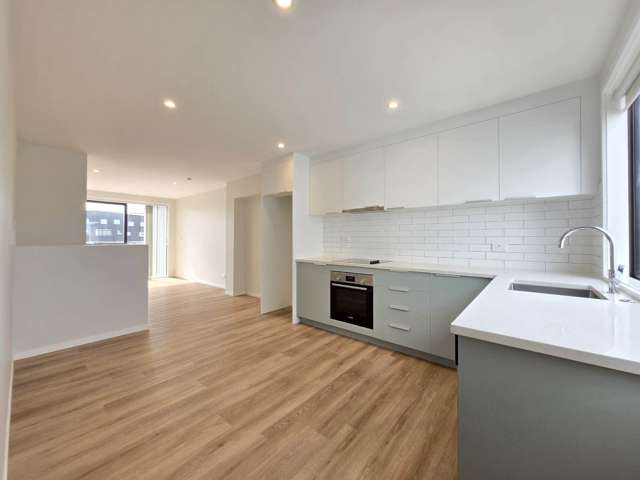 21 Pukakaho Lane Papatoetoe_1