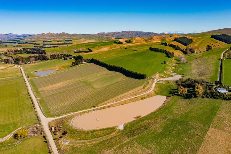 339 Mackenzies Road Waipara_7