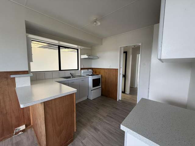 58 Elizabeth Street Tuakau_4