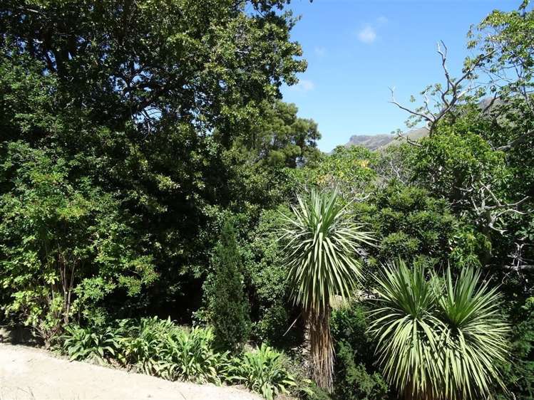 185 Main Road Governors Bay_11