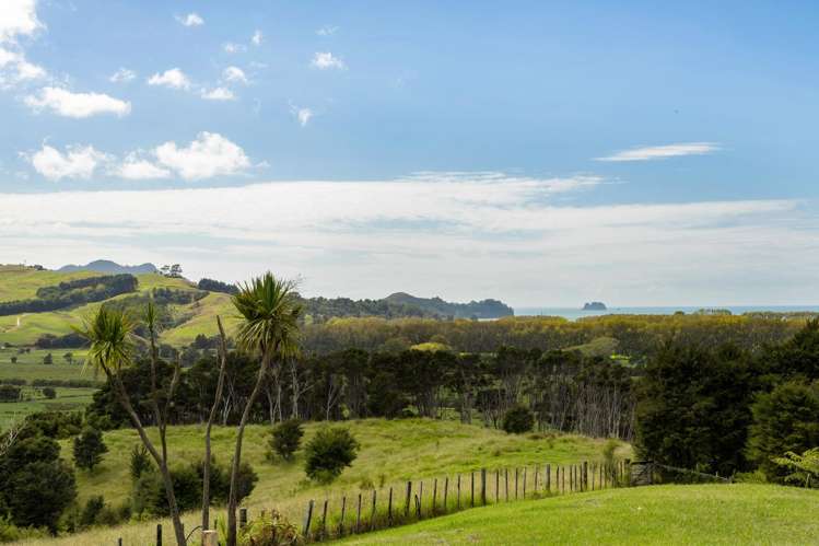 168 Moewai Road Whitianga_19