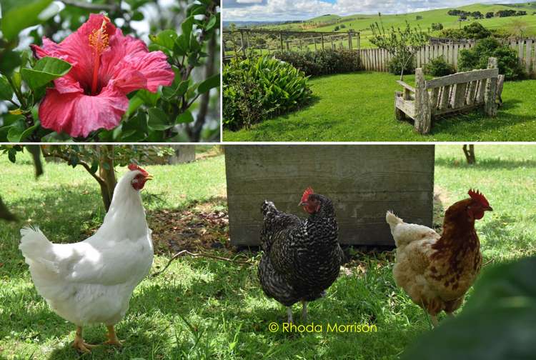 52 Gallie Branch Road Matakohe_22