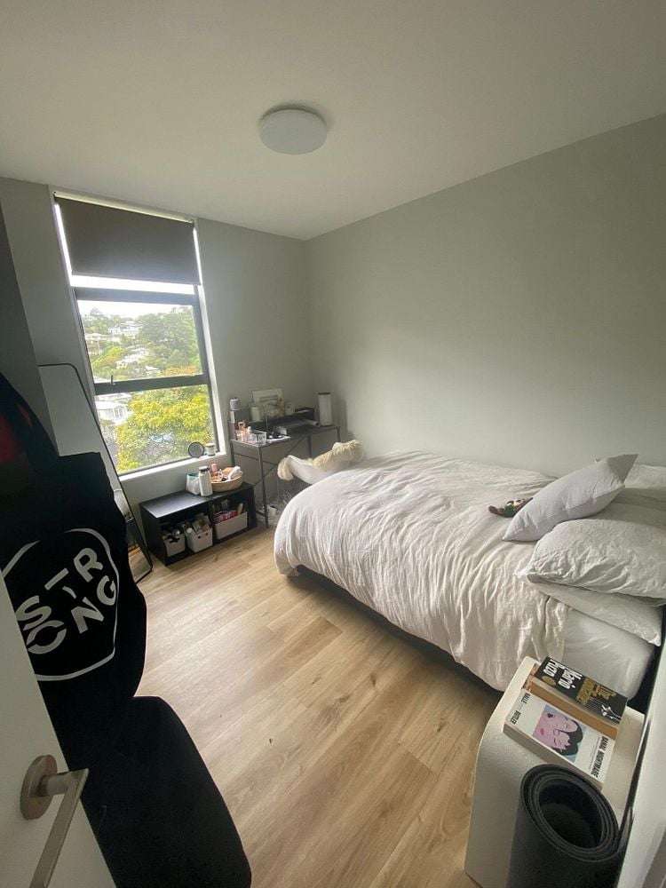 13C Adams Terrace Aro Valley_9