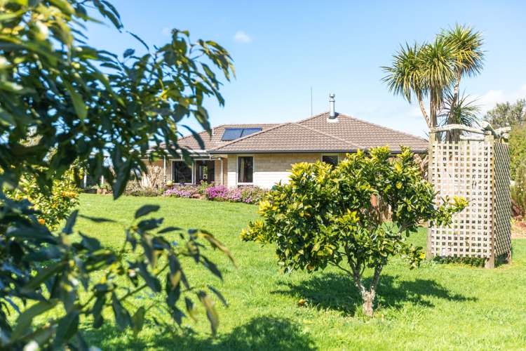 6 Colesburg Lane Waihi_3