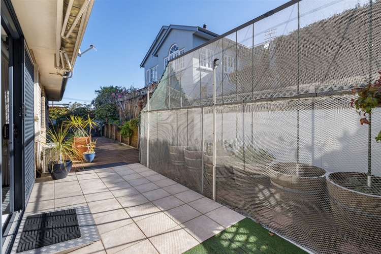 207 Fourteenth Avenue Tauranga South_11