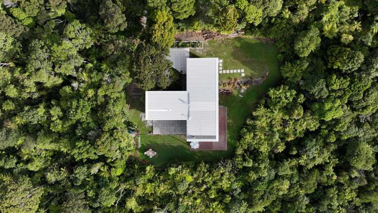 296 Piha Road Piha_74