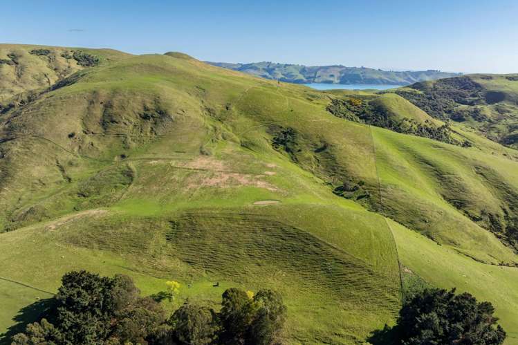 452 Harington Point Rd Lower Portobello_12