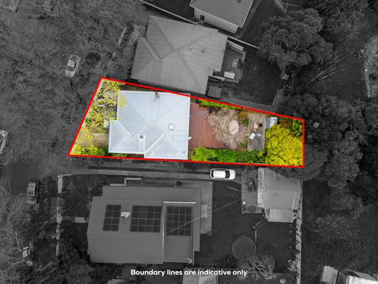 22 Castle Street Grey Lynn_19