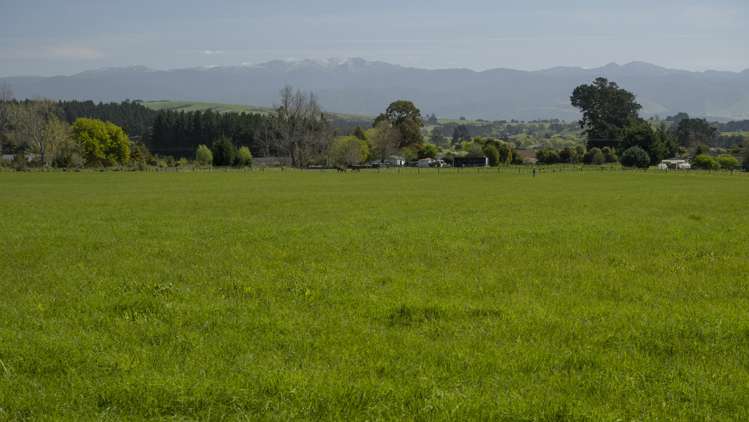 Brooklands Road Gladstone_11