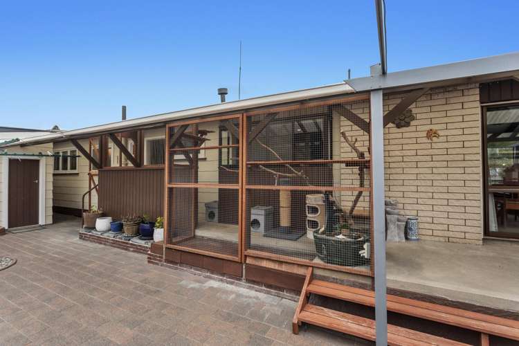 123 College Road Edgecumbe_13