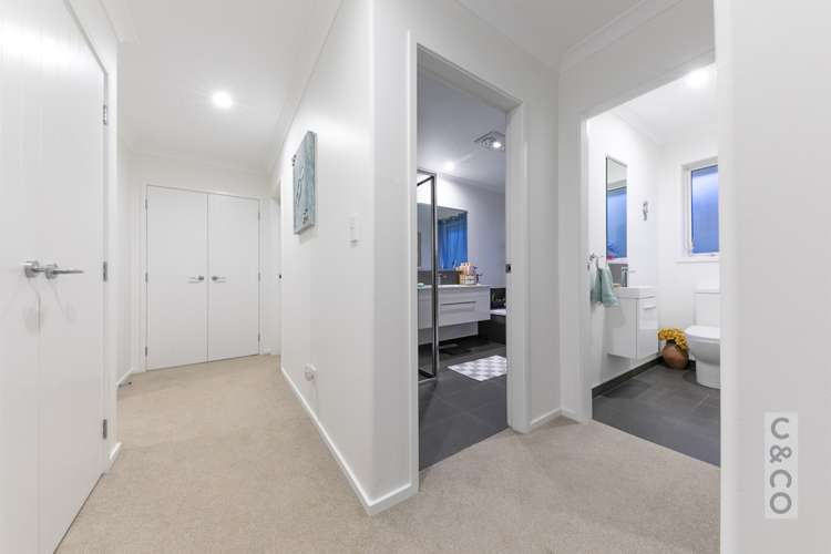 5 Walnut Road Riverhead_15