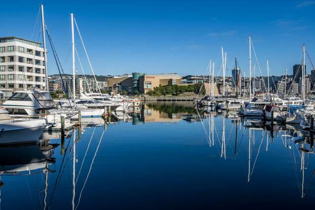 22 Herd Street Te Aro_2