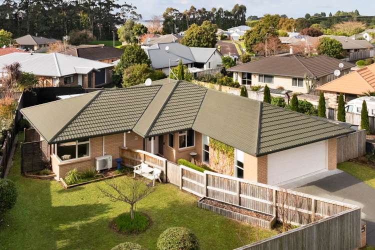 41 Longmynd Drive Katikati_25