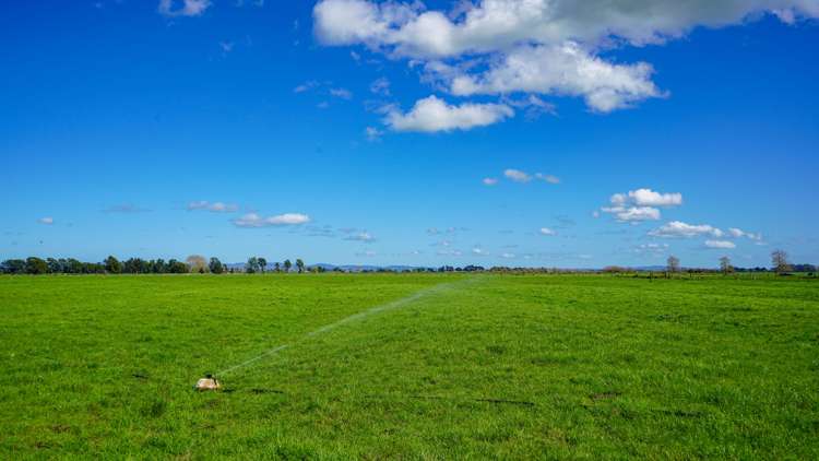 81 Station Road Puriri_3