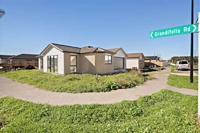 11 Castlepoint Avenue Takanini_1