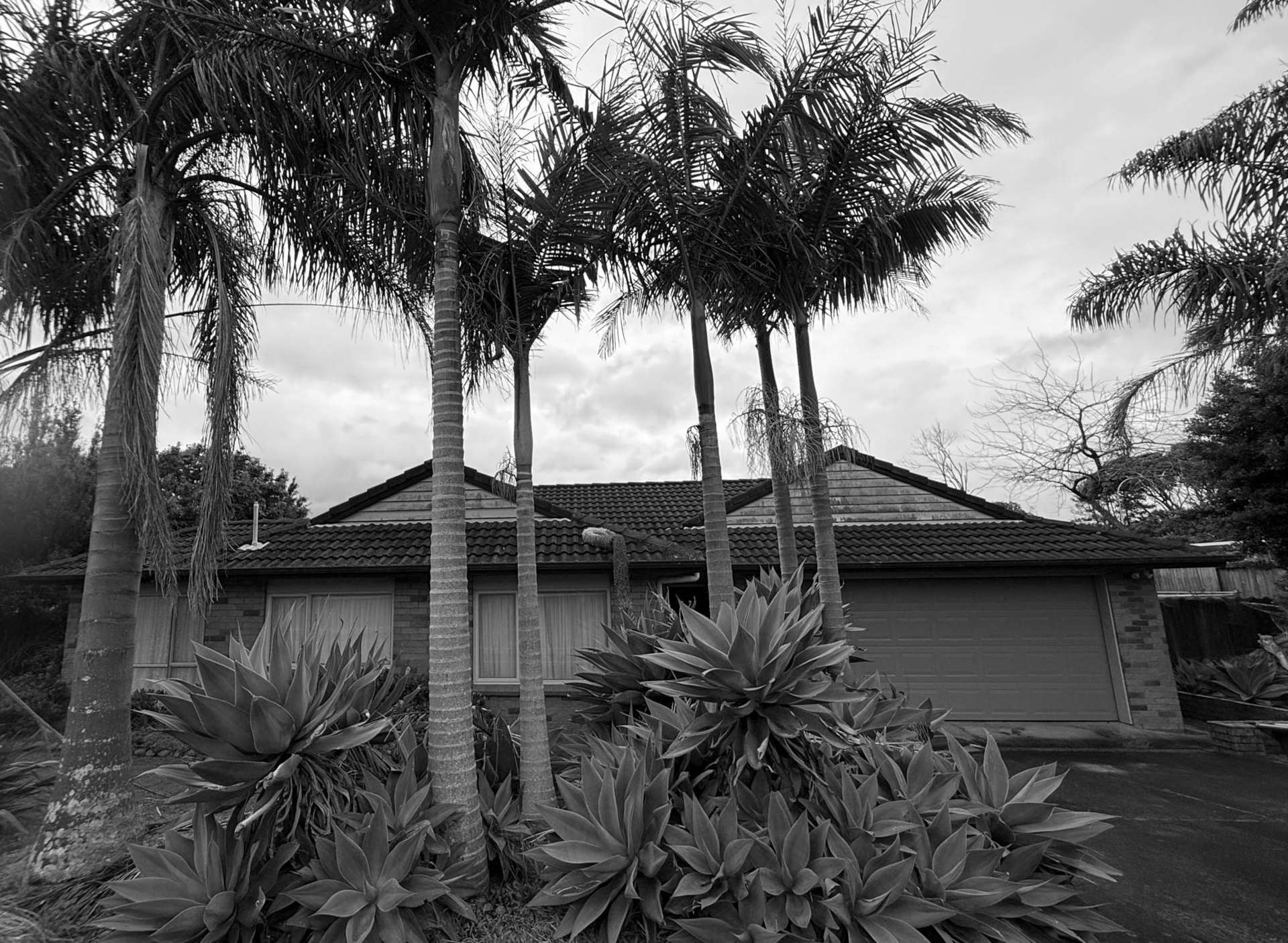 93 Kitchener Road Pukekohe_0