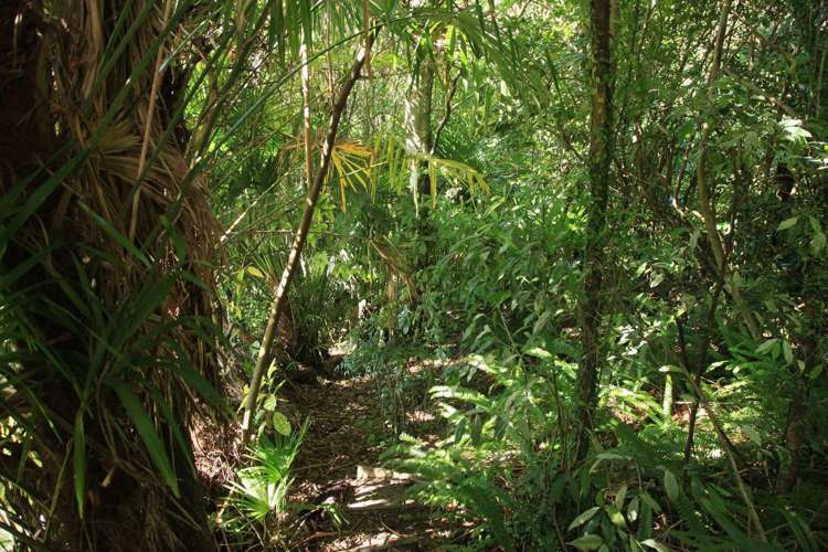 93 Princes Drive Britannia Heights_28