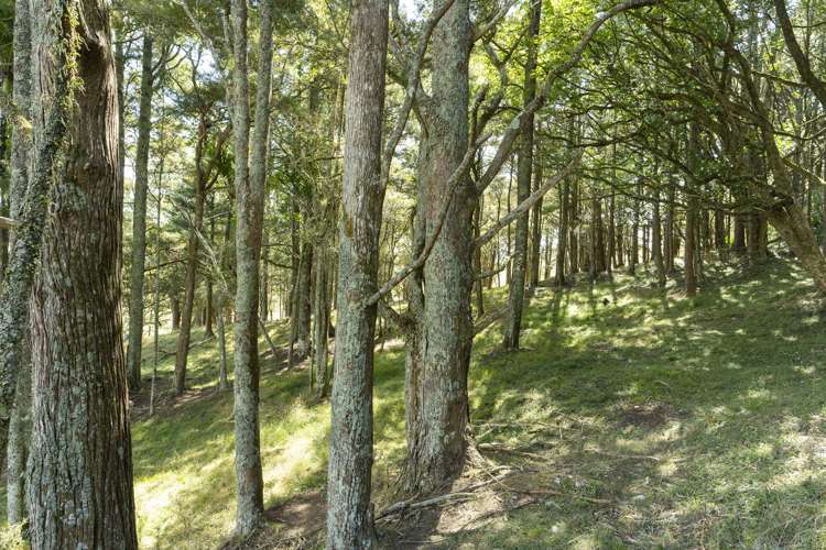 170 Corbett Road Whakapara_23