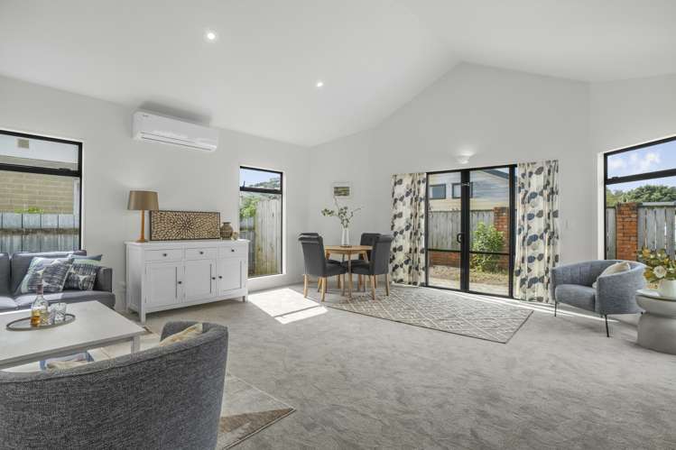 29a Brussels Street Miramar_11