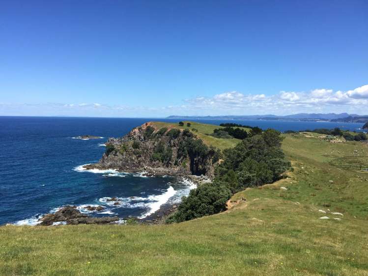 190 Pacific Ocean, Slipper Island (Whakahua) Thames_3