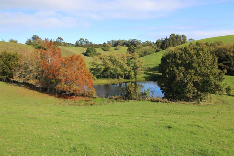 59F Riddell Road Kerikeri_1