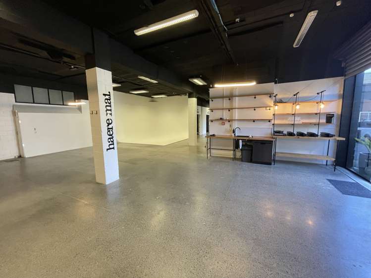 37 Crummer Road Grey Lynn_5