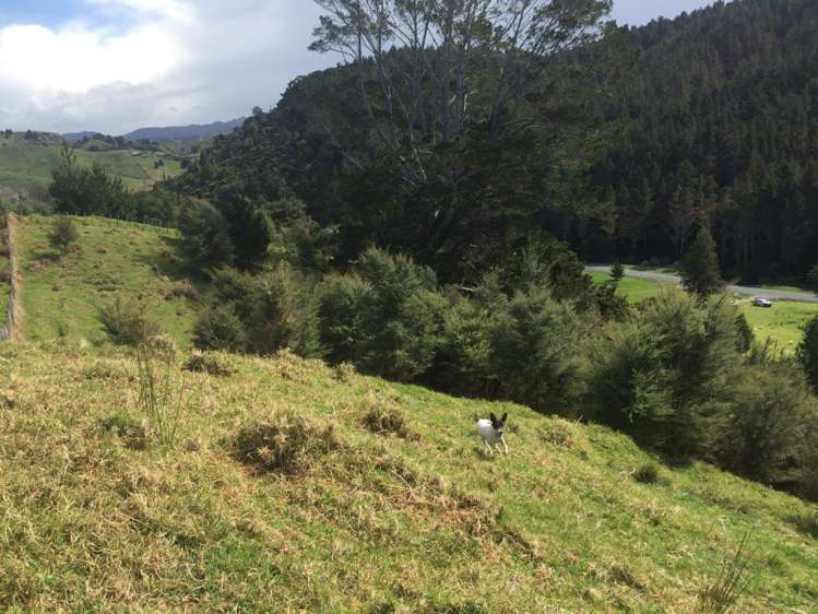 326 Ahuroa Valley Road Makarau_10