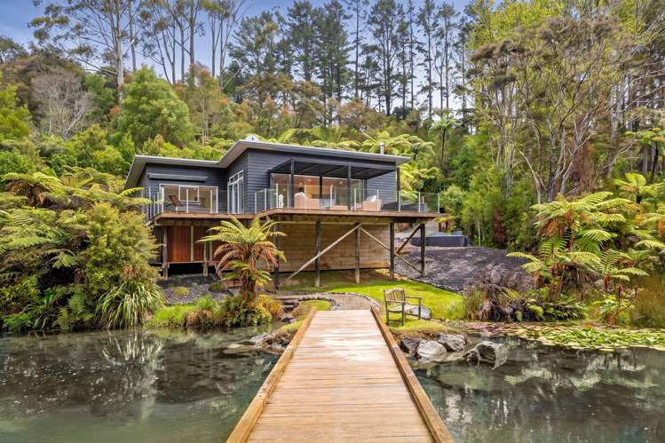 276B Smyth Road Dome Forest_41