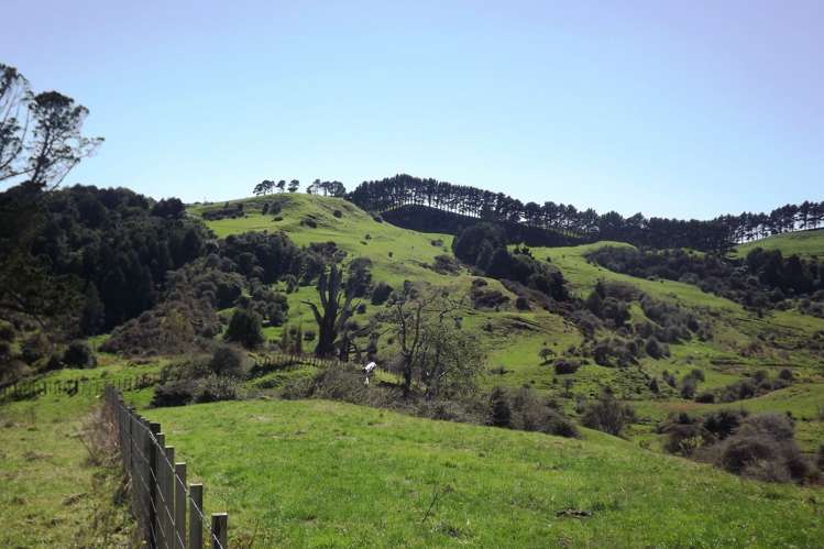 238 Waimaori Road Raglan_12