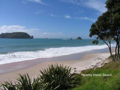 Lot 1, 92 Hahei Beach Road_2