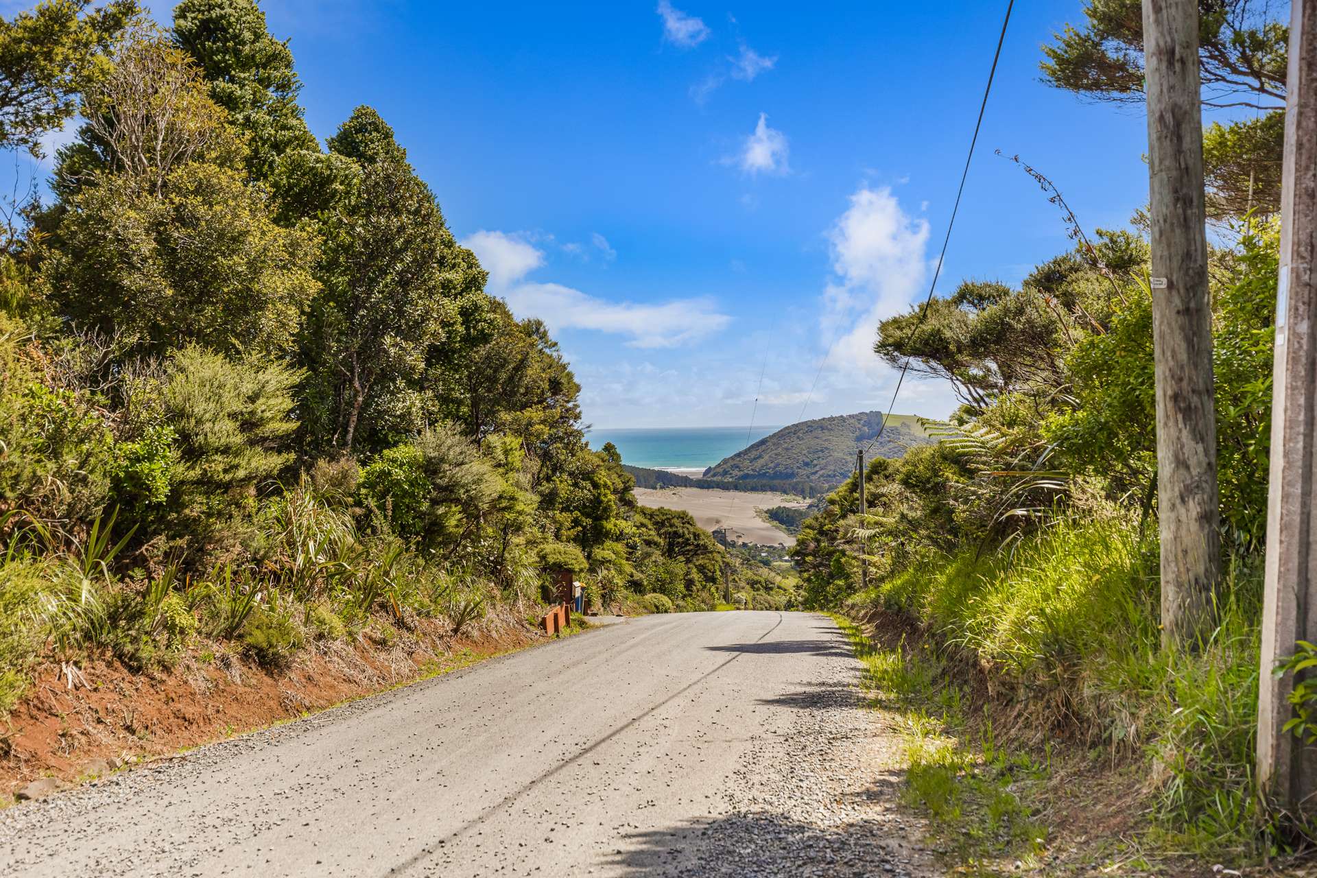 19 Te Aute Ridge Road Waitakere_0
