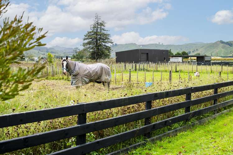 1290 Matawai Road Ormond_20