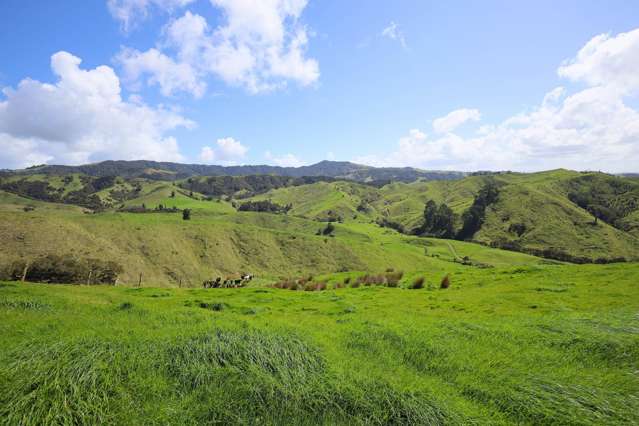 148 Mangawara Road Kaihere_3