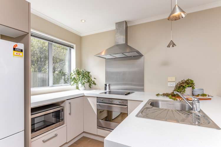 41c Austin Street Sydenham_1