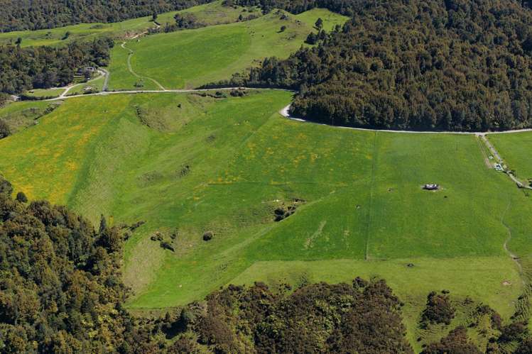 869 and 668 Mangatoi Road Oropi_7