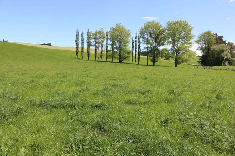 428 Wairuna Settlement Road Clinton and Surrounds_8