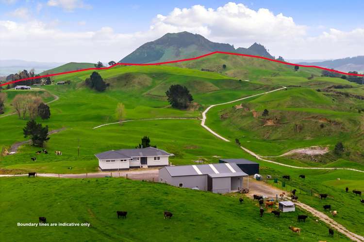 851B Kaahu Road Whakamaru_11