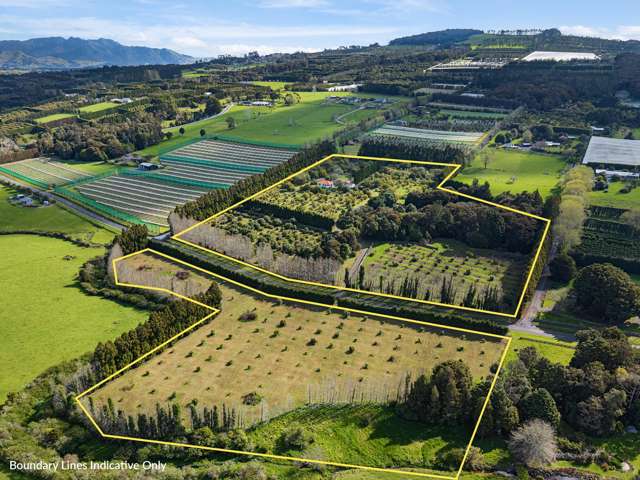 131 Tatton Road Maungatapere_2