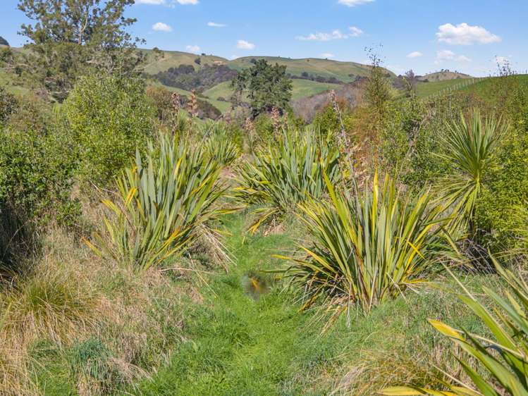 1437 Lots 1 and 3 Brooklands Road Carterton_19